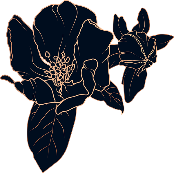 The Devenere Law Collective in Houston TX