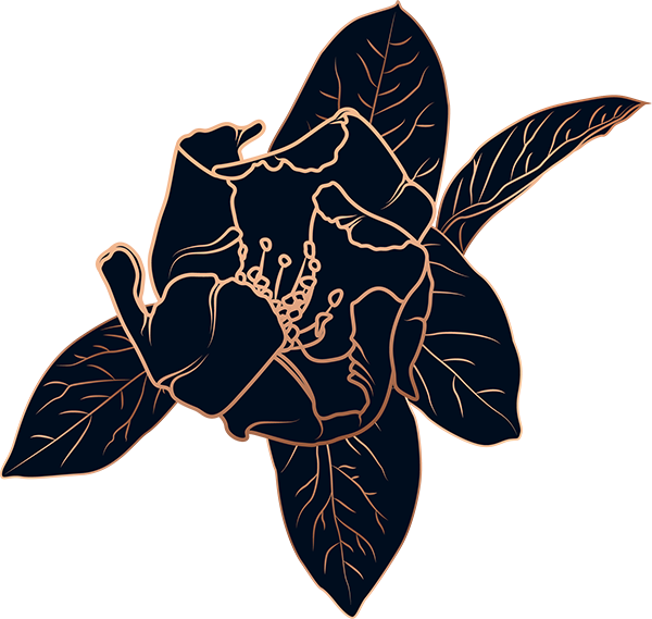 The Devenere Law Collective in Houston TX