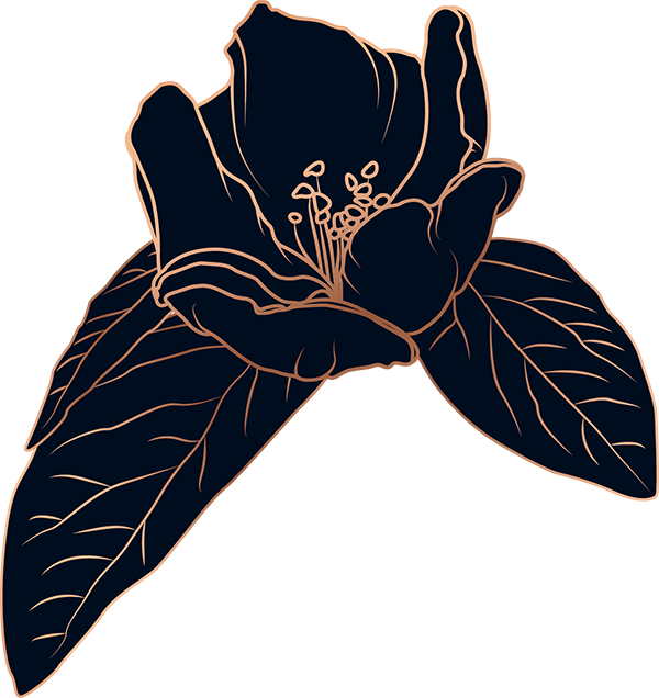 The Devenere Law Collective in Houston TX